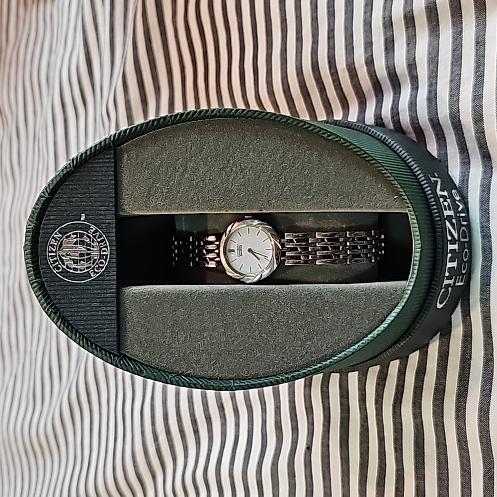 Citizen Evo-Drive Women's Watch, Silver